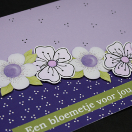 knipvel: wit-paarse bloemen