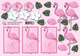 1368 flamingo