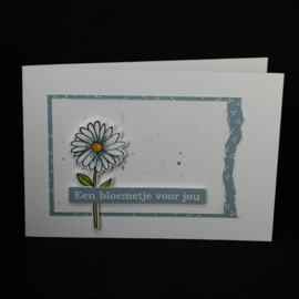 Clear Stamp & die set Mrs. Garden Gnome CS1126