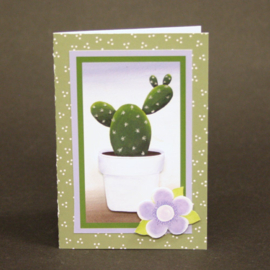 1092 Cactussen