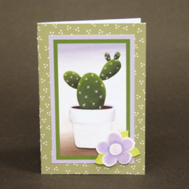 Pakket cactus