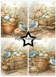 Paper Favourites - Bird House A6