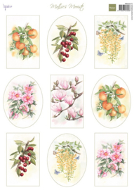 knipvel Mattie's mooiste - Fruit & Flowers MB0222