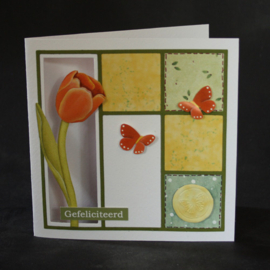 Rode tulp 0842