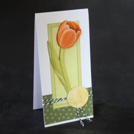 Rode tulp 0842