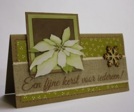 Witte kerstroos 0866