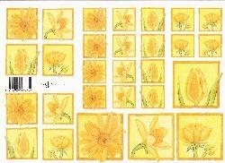 knipvel: gele bloemen