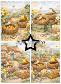 Paper Favourites - Bird Nest A6