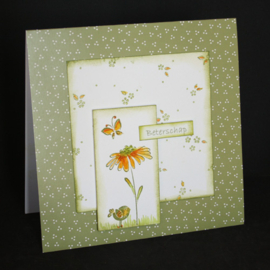 Embossing folder Leane: little flowers 35.2953
