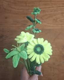 Chenilledraad 5 kleuren: groen