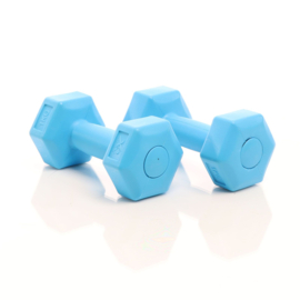 LUXTRI Dumbbells set 2x 2 kg blauw halters gewichten krachttraining