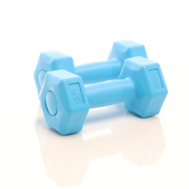 LUXTRI Dumbbells set 2x 2 kg blauw halters gewichten krachttraining