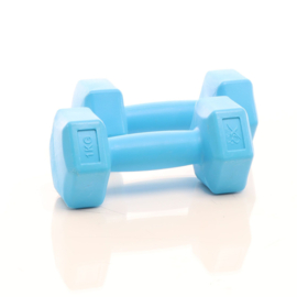 LUXTRI Dumbbells set 2x 2 kg blauw halters gewichten krachttraining