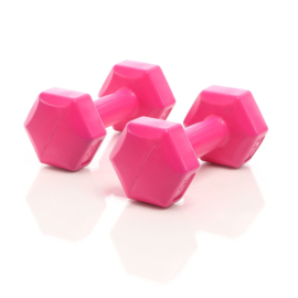 LUXTRI Dumbbells set 2x 500 gr roze halters gewichten krachttraining