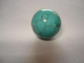 Howliet kraal rond 16 mm turquoise