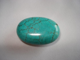 Howliet kraal ovaal 30x20 mm turquoise