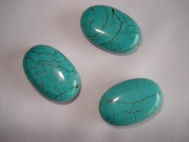 Howliet kraal ovaal 30x20 mm turquoise