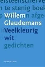 Veelkleurig wit - Willem Glaudemans