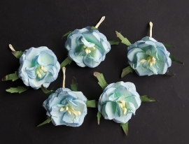 Magnolia Turquoise