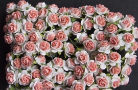 Roosjes X ivoor/roze