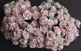 Roos C baby roze