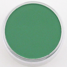 PanPastel PP Permanent Green Shade CF-PP26403