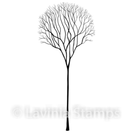 Skeleton Tree – LAV532