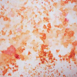 Cosmic Shimmer Pixie Powder Burnt Orange 30 ml