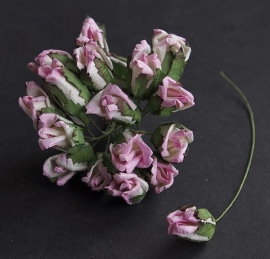 10 wilde rosebuds in de kleuren roze/wit. Doorsnede van de knop is 2,5  cm