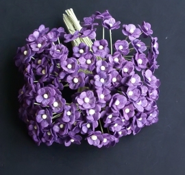 Mini Sweetheart Blossoms paars