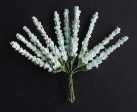 WildHeather  mint