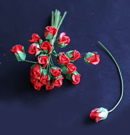 20 roosjes in de kleur rood
