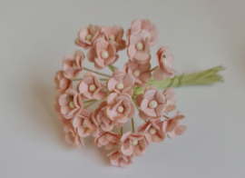 Mini Sweetheart zacht roze 25 st. 1 cm