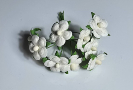 Mini Daisy wit 10 stuks, 1 cm