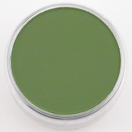 PanPastel PP Chromium Oxide Green Shade CF-PP26603