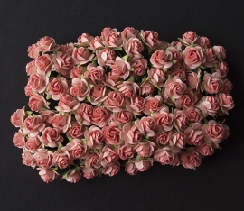 Rose SX two tones pink