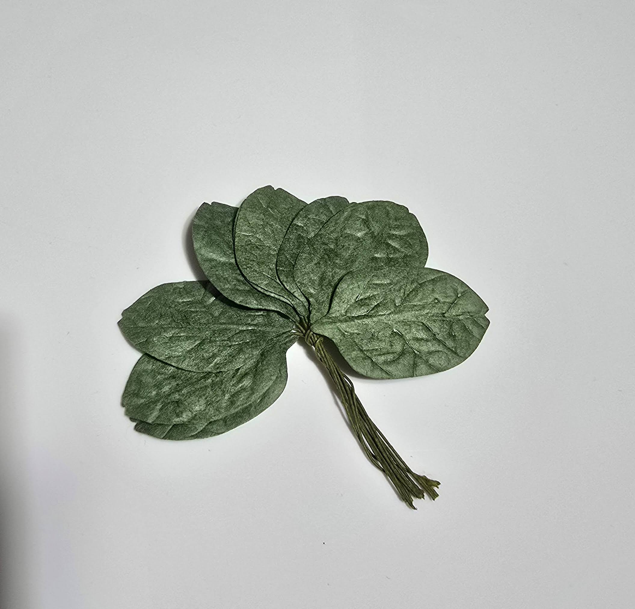Bl15 10 st. 4 x 3 cm
