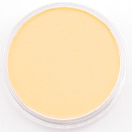 PanPastel PP Orange Tint  CF-PP22808