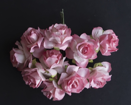 Wilde roos roze/wit 2,5 cm 5 stuks
