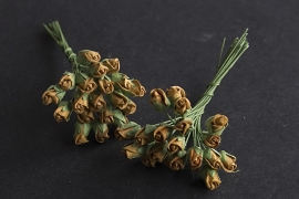 Roosbud Bruin 10 stuks