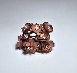 Cherry  bruin 5 stuks 2,5 cm