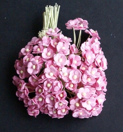 Mini Sweetheart Blossoms roze