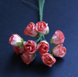 10 wilde rozenknoppen in tweekleurig roze met een doorsnede van 1,5 cm
