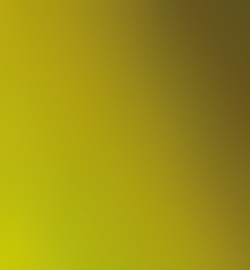 6628- Green Yellow