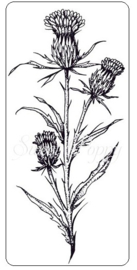 Sweet Poppy Stencil: Thistle Stem Stamp SPSTMP_THSTEM