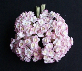 Mini Sweetheart Blossoms roze/wit