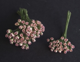 Roosbud roze-ivoor