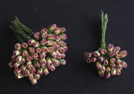 Roosbud cream-paars