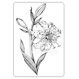 Sweet Poppy Stencil: Tiger Lily Stamp SPSTMP_TIGERLILY