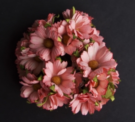 Chrysanten zalm